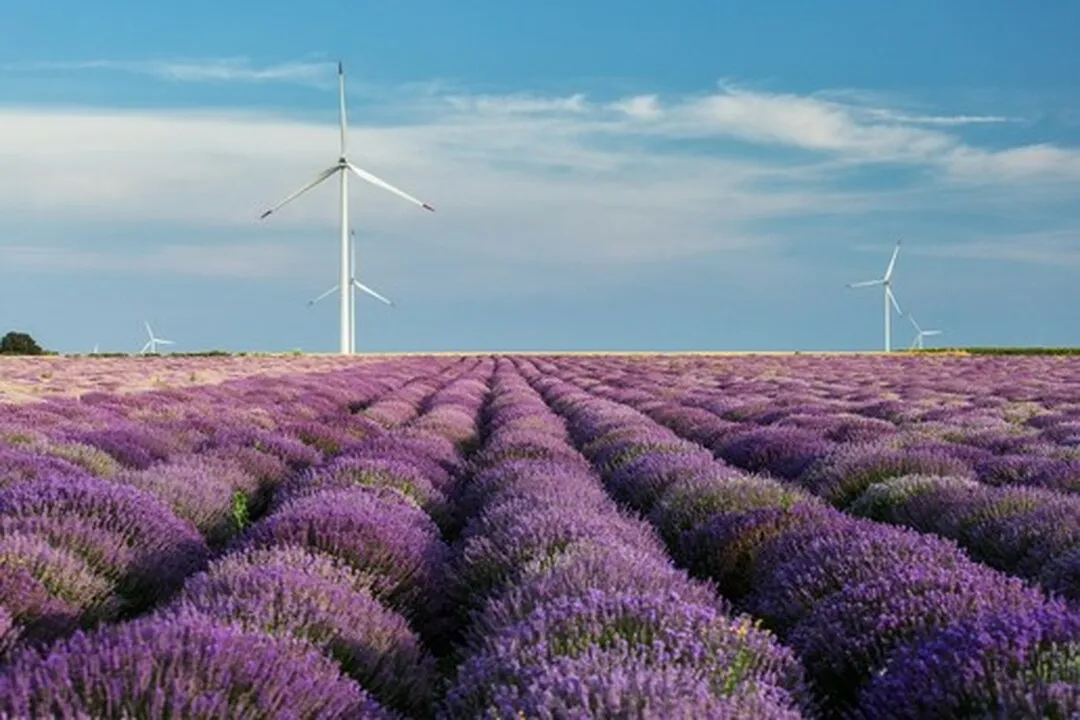 Isparta Lavanta turu Göller yöresi