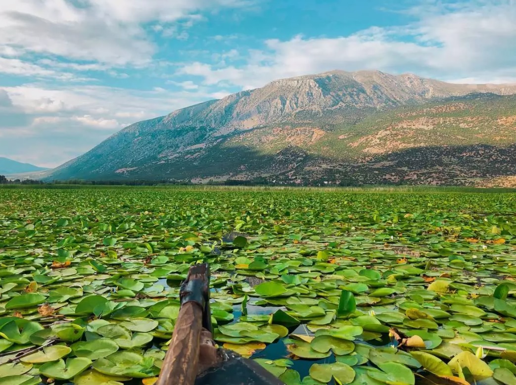 Lavantalar ve Nilüferler Turu